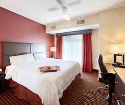 Hotel Hampton Inn and Suites Denver Tech Center