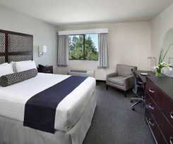 Hotel Maple Tree Inn