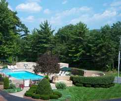 Tall Pines