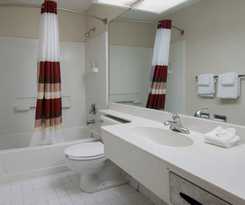 Hotel Red Roof Inn Ellenton