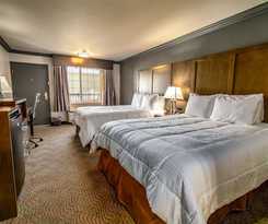 Willow Tree Inn