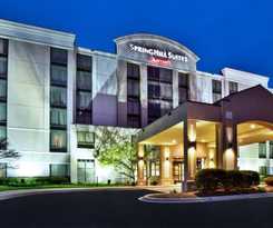 Hotel Springhill Suites Chicago Southwest At Burr Ridge/hinsdale