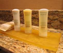 Hotel Crowne Plaza Lombard Downers Grove