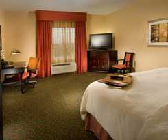 Hotel Hampton Inn and Suites Waco-south