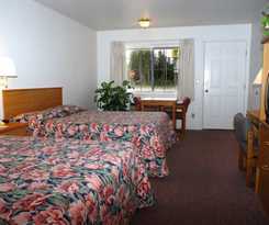 Hotel Dude and Roundup