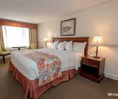 Eagle Wing Inn - Cape Cod