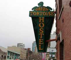 Green Tortoise Seattle