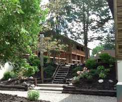 Hotel The Cedar Lodge