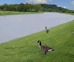 Econo Lodge Sevierville-pigeon Forge On The River
