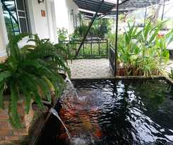 Fancy Carp Resort