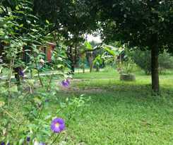 Hotel The Royal Bamboo Lodge