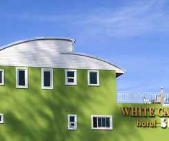White Cat