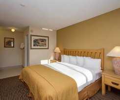 Hotel Rodeway Inn Near Az State University