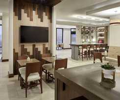 Hotel Marriott Dfw Airport South