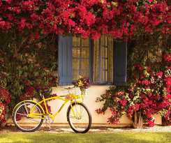 Hotel La Quinta Resort and Club, Curio Collection By Hilton