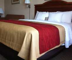 Hotel comfort inn & suites galt - lodi north