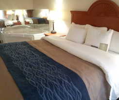 Hotel Comfort Inn Downtown - University Area