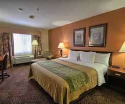 Hotel Comfort Inn Okemos - East Lansing