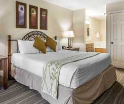 Hotel Hilton Vacation Club MountainLoft Gatlinburg