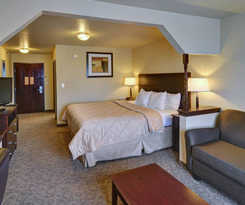 Hotel Quality Inn and Suites Terrell