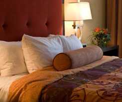 Hotel University Plaza and Convention Center Springfield