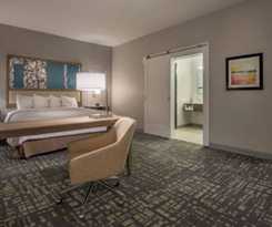 Hotel Hampton Inn and Suites Dallas-the Colony, Tx