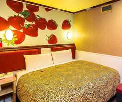 Hotel The Dealer Hotel