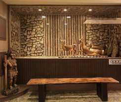 Hotel Classic Shvatan