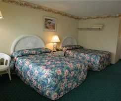 Motel American Safari