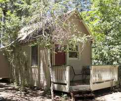 Hotel Sleepy Forest Cottages