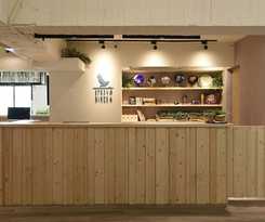 Stray Birds Taichung
