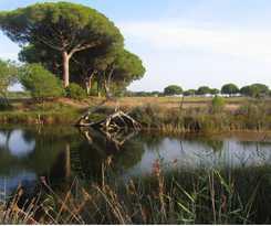  Oltremare Appartamenti