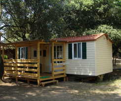 Camping Internazionale Di Castelfusano