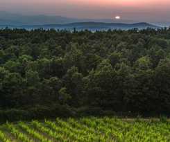  Agriturismo Le Ragnaie