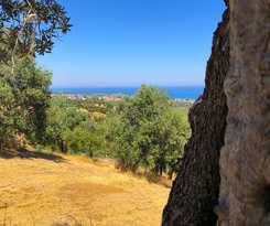  Il Colle Degli Ulivi