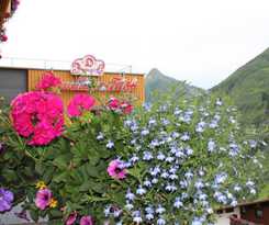 Hotel DamÜlser Hof Wellness and Spa