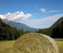  Landgasthof Kreithof