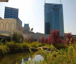 Langfang International