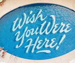 The Surfjack and Swim Club