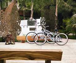 La Jolla Curio Collection By Hilton