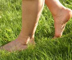 Apartamentos Haus Florian