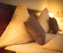 Hotel Hotel-restaurant 1735