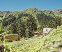 Hotel Almhof Roswitha