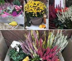  Gästehaus Zur Sonne