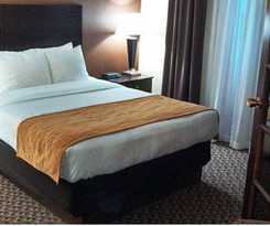 Comfort Inn And Suites Pittsburgh