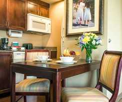 Hotel Homewood Suites By Hilton Davidson