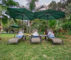Three Oaks And An Aloe Boutique