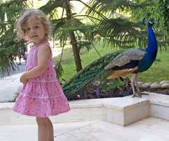 Hotel Megasaray Resort Side