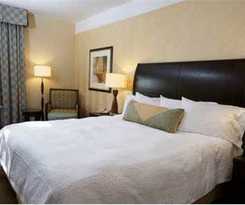 Hotel Hilton Garden Inn New Braunfels