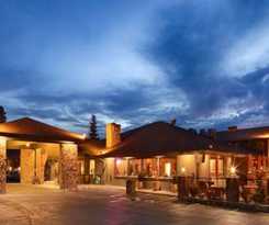 Hotel Best Western Plus Tree House